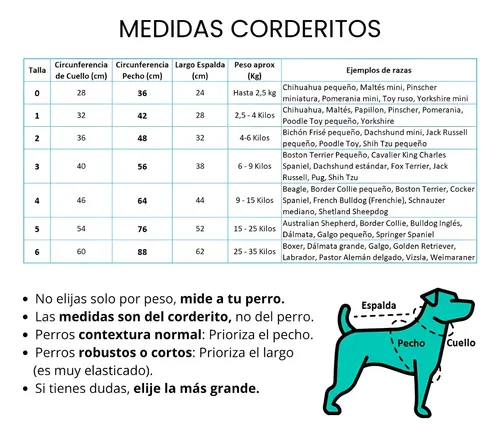 petlounge-corderito-chiporro-manga-corta-perro-talla-6-verde—imagen-2 petlounge-corderito-chiporro-manga-corta-perro-talla-6-verde—imagen-2