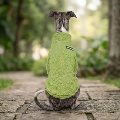 petlounge-corderito-chiporro-manga-corta-perro-talla-6-verde—imagen-7 petlounge-corderito-chiporro-manga-corta-perro-talla-6-verde—imagen-7