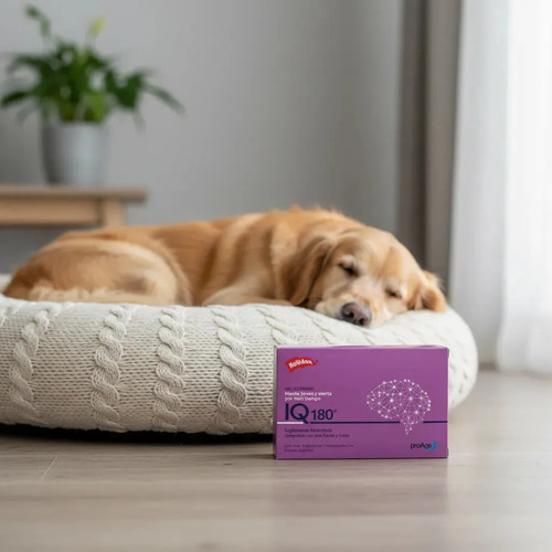 suplemento-vitamnico-para-perro-gato-iq180-21-comp—imagen-5 suplemento-vitamnico-para-perro-gato-iq180-21-comp—imagen-5