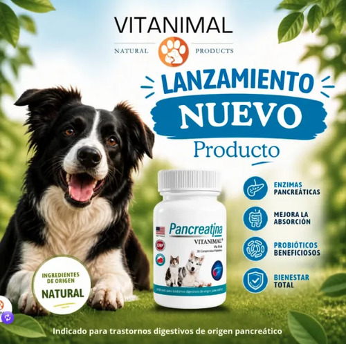 pancreatina-enzimas-pancreticas-para-perro-y-gato-30-comp—imagen-2 pancreatina-enzimas-pancreticas-para-perro-y-gato-30-comp—imagen-2