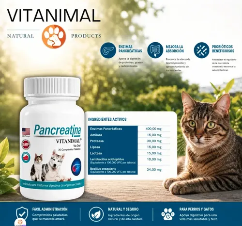 pancreatina-enzimas-pancreticas-para-perro-y-gato-30-comp—imagen-3 pancreatina-enzimas-pancreticas-para-perro-y-gato-30-comp—imagen-3