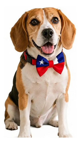 humita-collar-ajustable-para-perro-y-gato-fechas-patrias-rojo-m—imagen-1 humita-collar-ajustable-para-perro-y-gato-fechas-patrias-rojo-m—imagen-1
