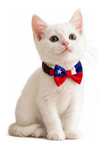 humita-collar-ajustable-para-perro-y-gato-fechas-patrias-rojo-s—imagen-1 humita-collar-ajustable-para-perro-y-gato-fechas-patrias-rojo-s—imagen-1